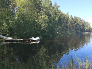 jarvella-polkuvenevalkama