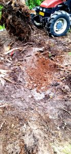 IMG-20260714-WA0011